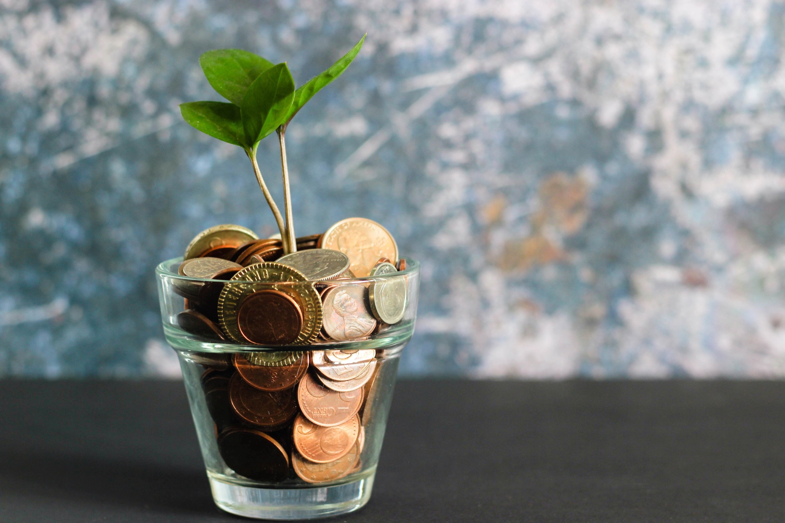 Coins in a glass with a plant growing in it