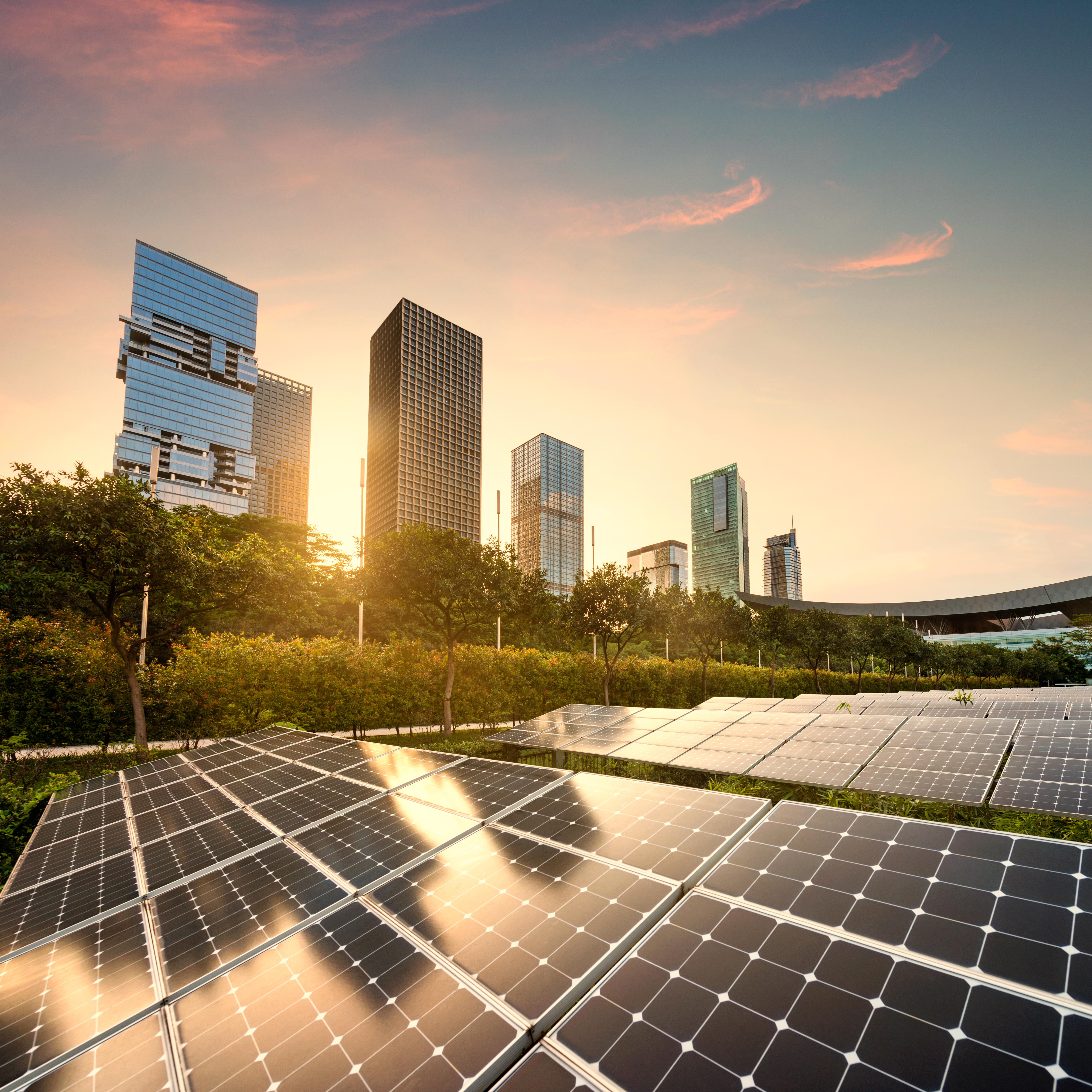 Row of solar panels