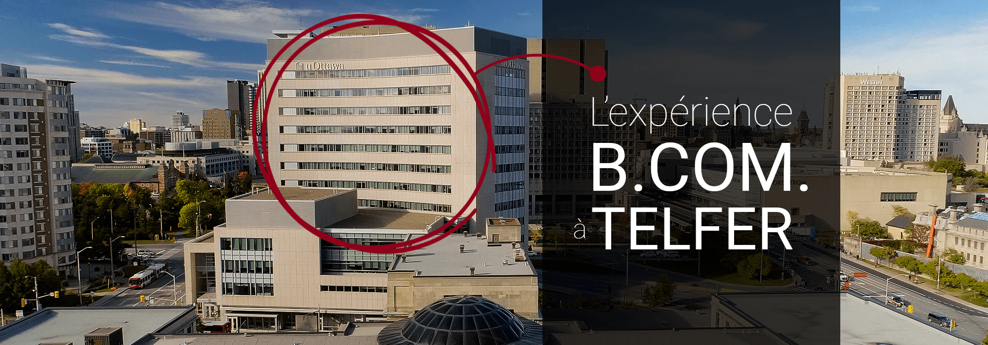 The Telfer BCom Experience