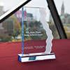 Young Acheiver's Award