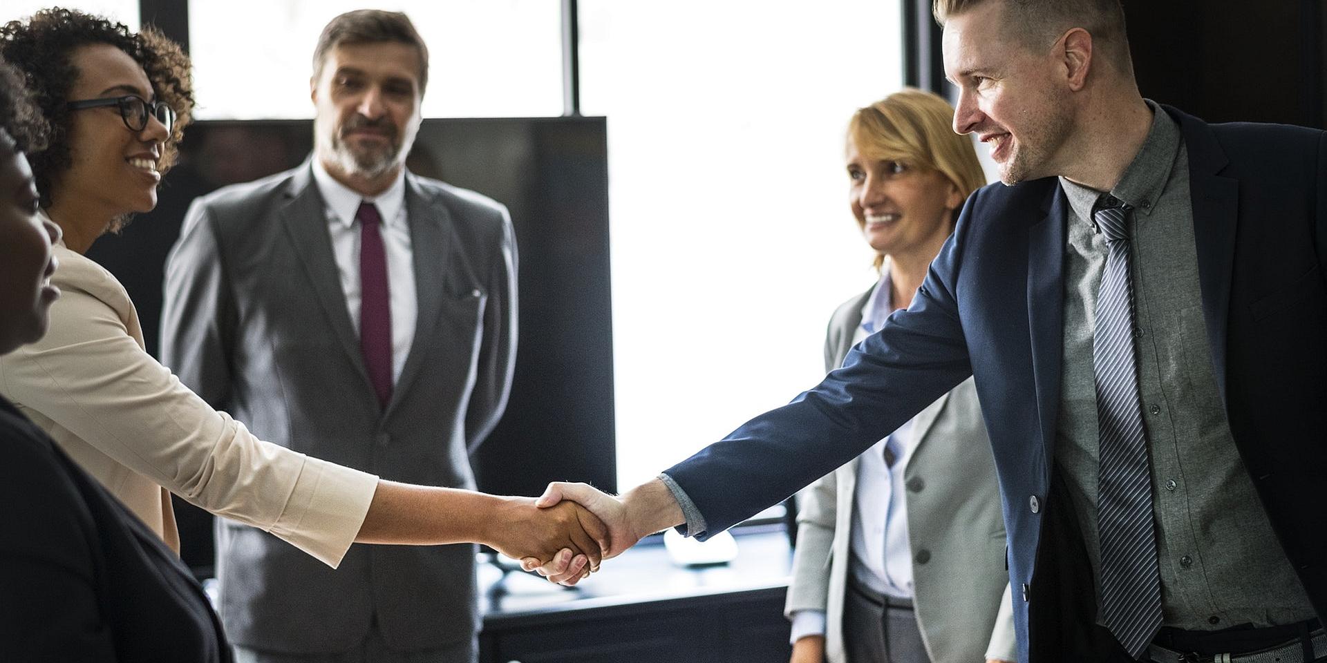 Two professionals shaking hands