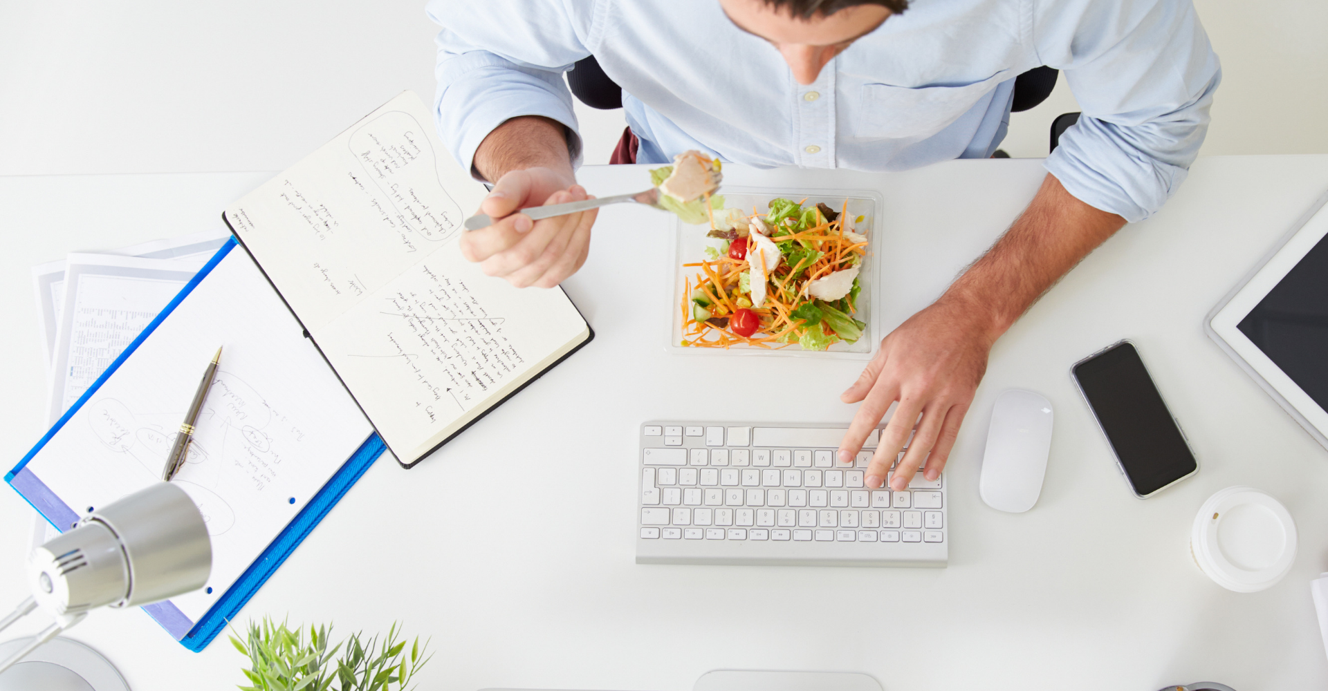 desk nibbles