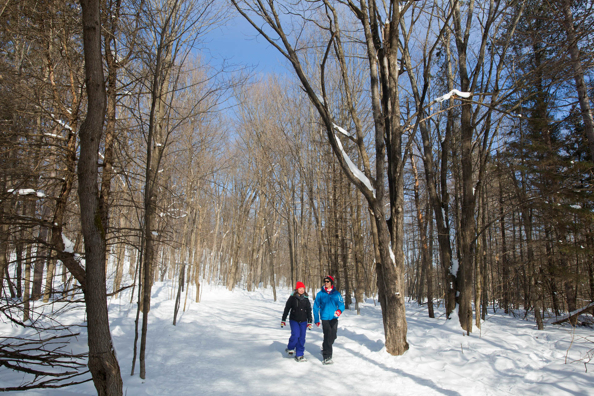 Un couple en raquette dans le Parc de la Gatineau