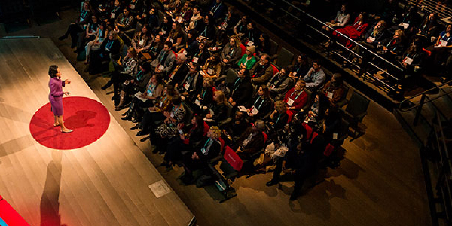 Image of a speaker addressing a crowd at a Ted Talk.