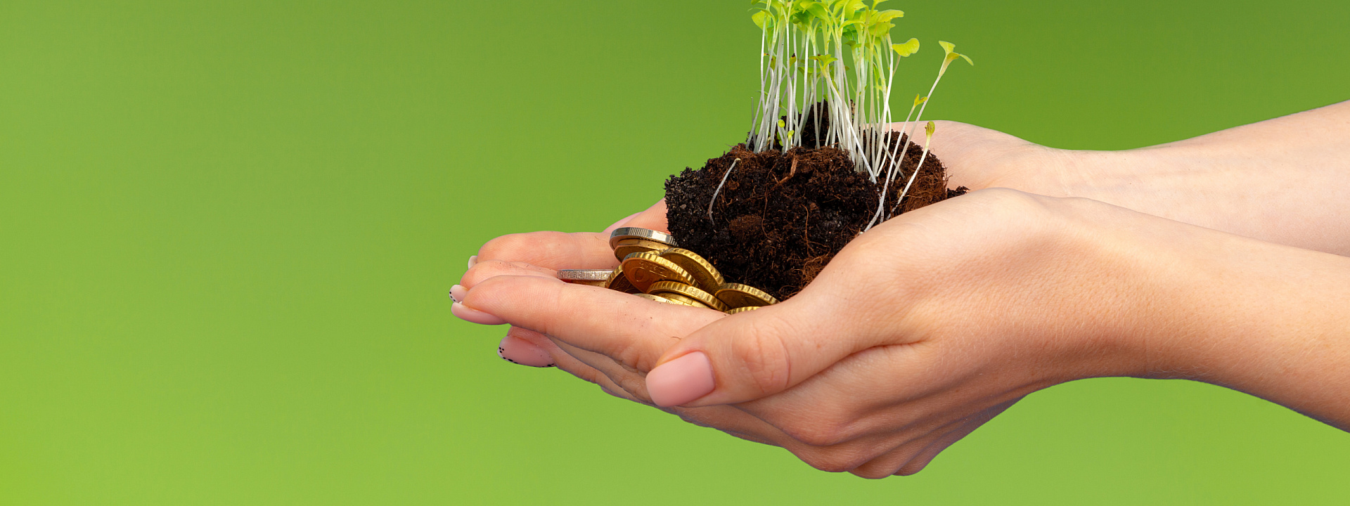 Hands holding growing plant and money