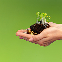 Hands holding growing plant and money