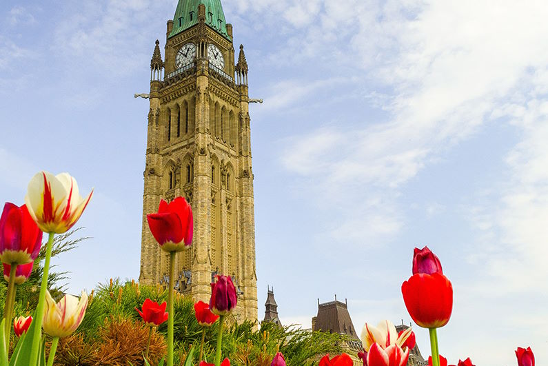 Canadian Parliamentary Clock Tower