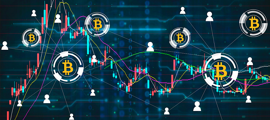 network of crypto-investing