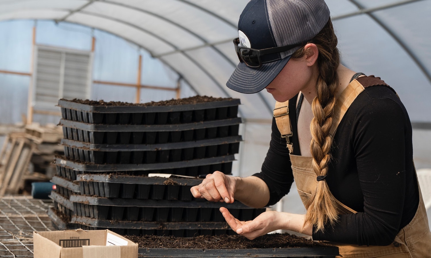 A person planting seeds in planter trays
