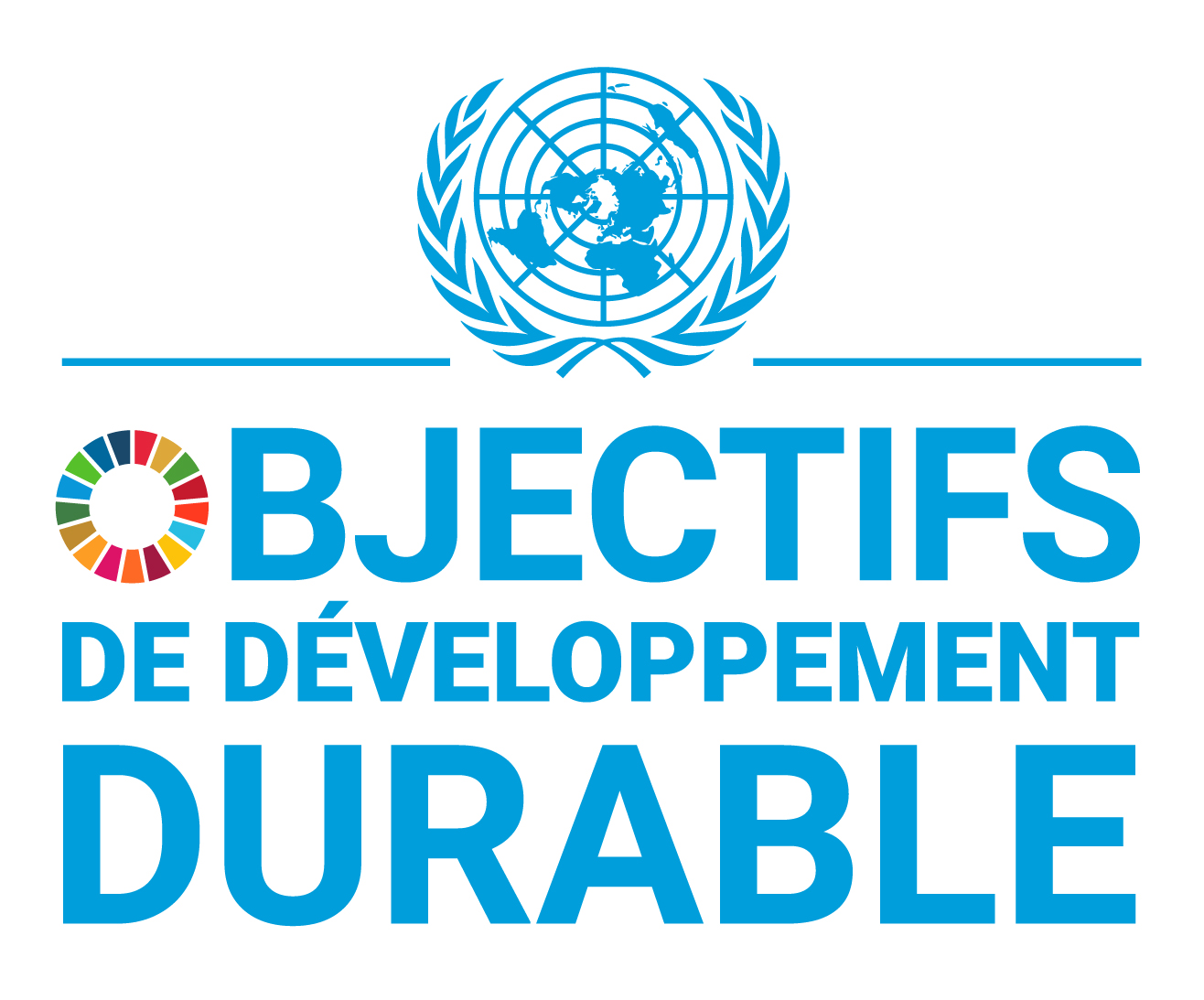sdg logo