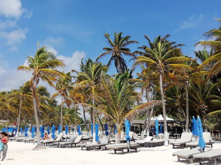 Deckchairs on a beach in an all-inclusive in the south