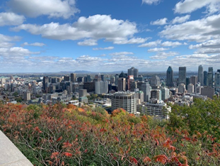 Vue de haut du centre-ville d'Ottawa