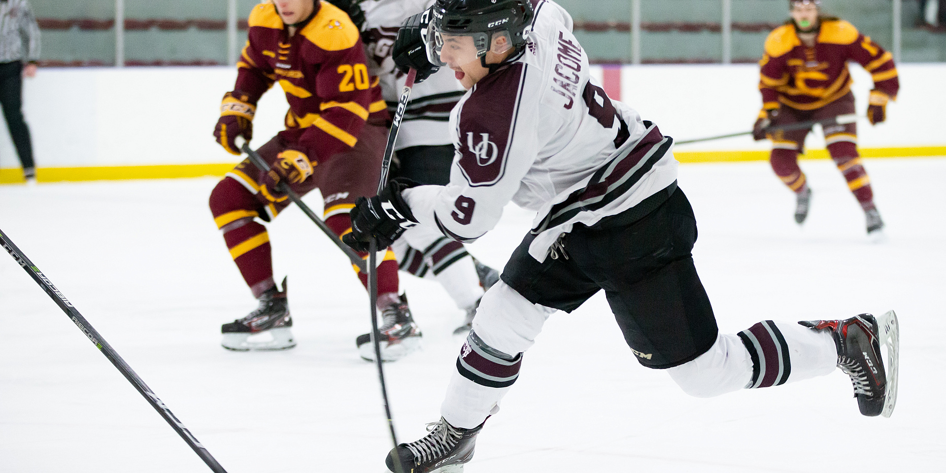 Gee-Gees hockey game