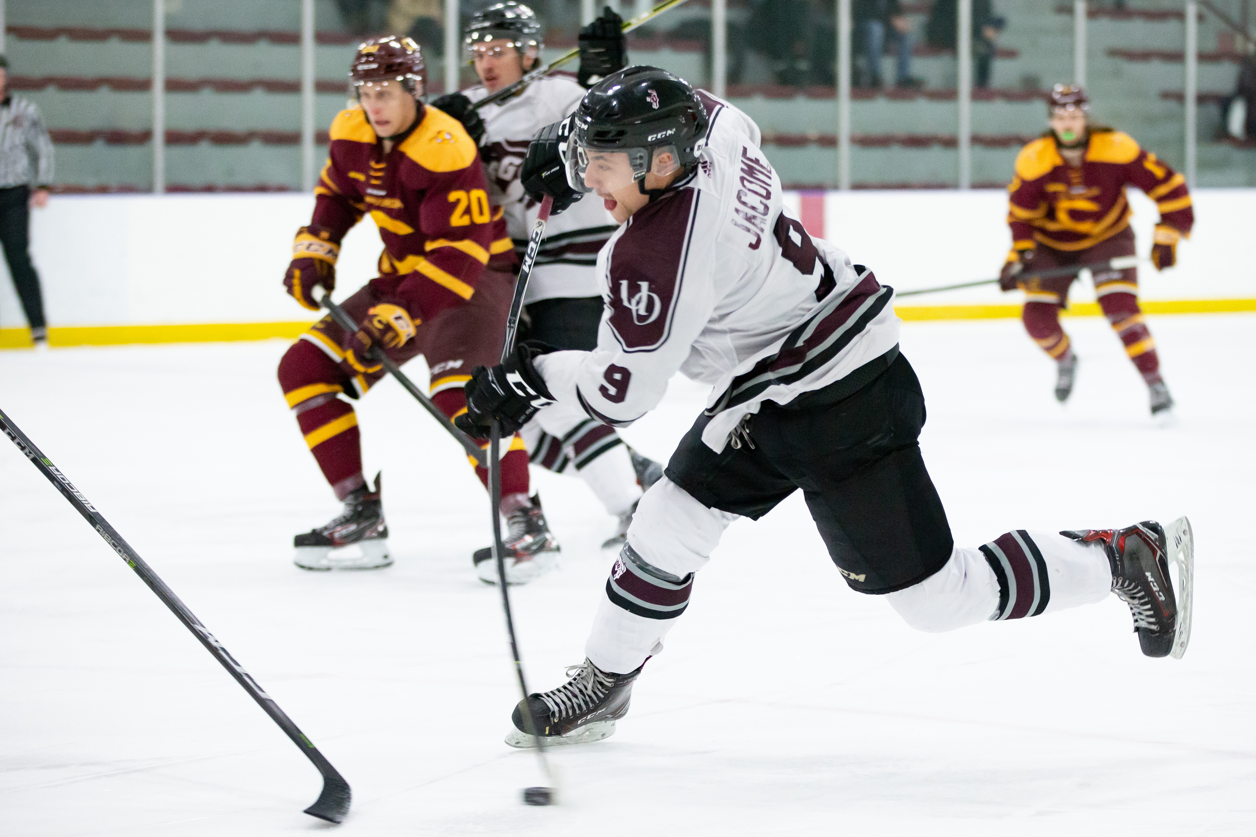 Gee-Gees hockey game