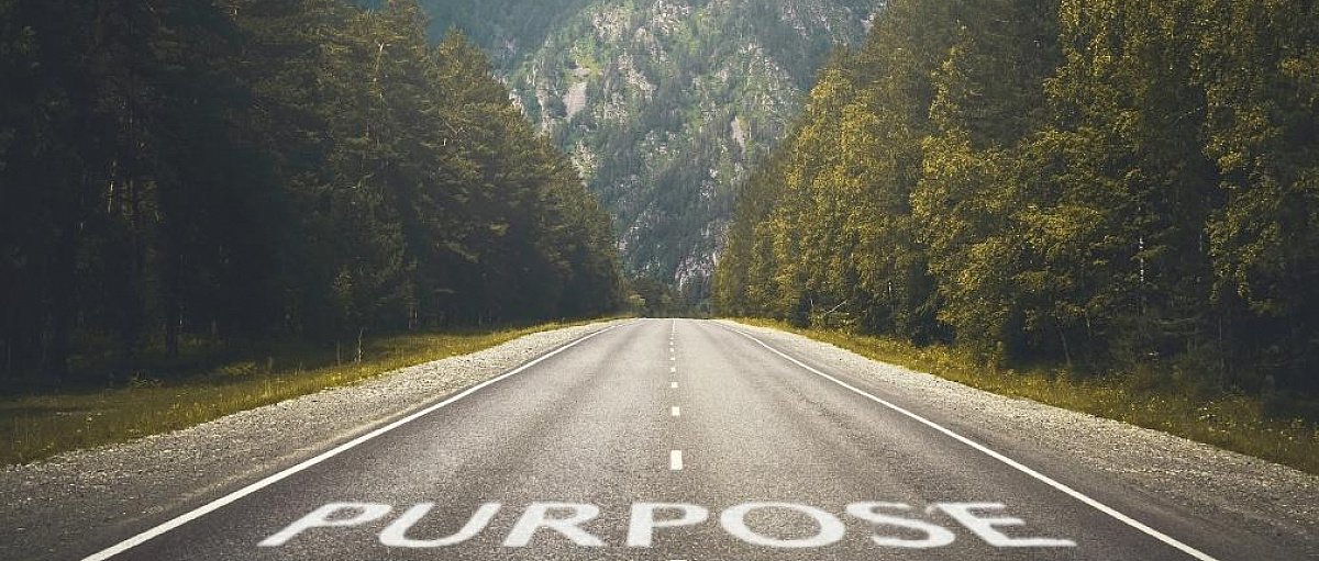 From pivot to purpose
