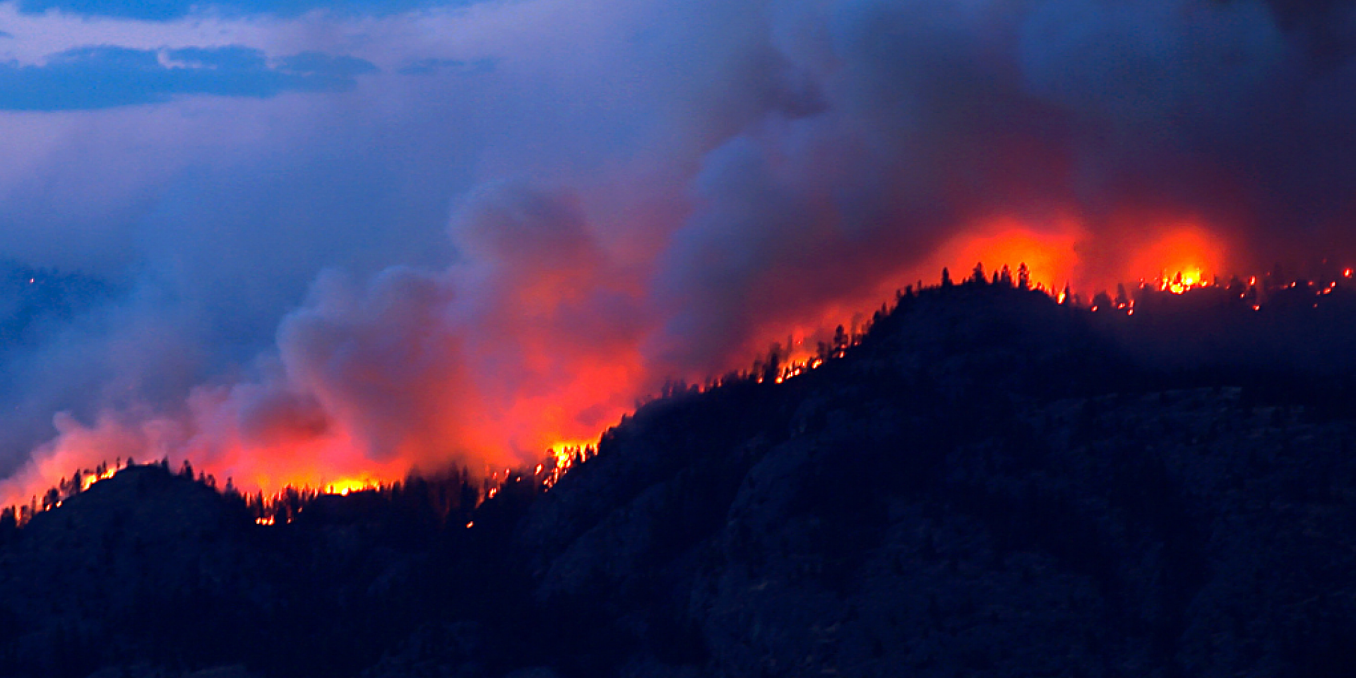 Feu de forrêt