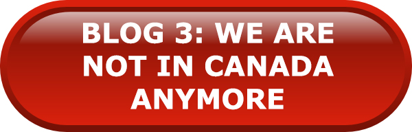 Blog 3: We're Not in Canada Anymore: The on the ground perspective article