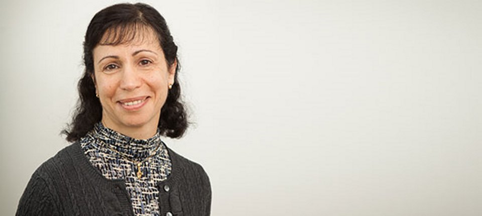 Professor Samia Chreim